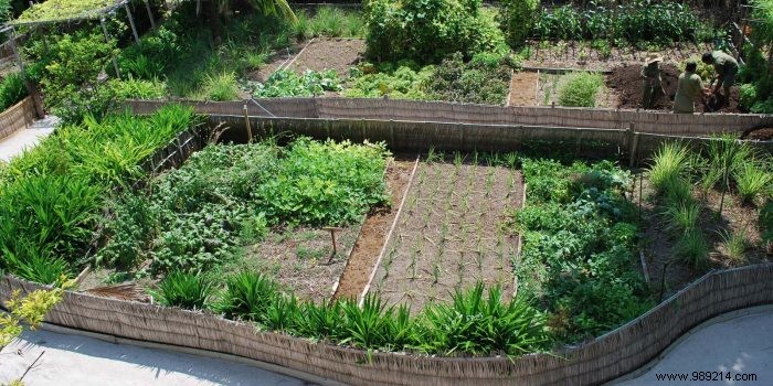 How to get a natural garden without harming the ecosystem? 