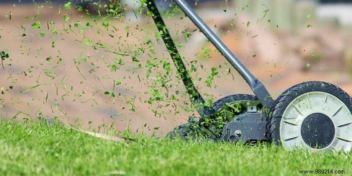 Proper lawn maintenance in 4 steps 