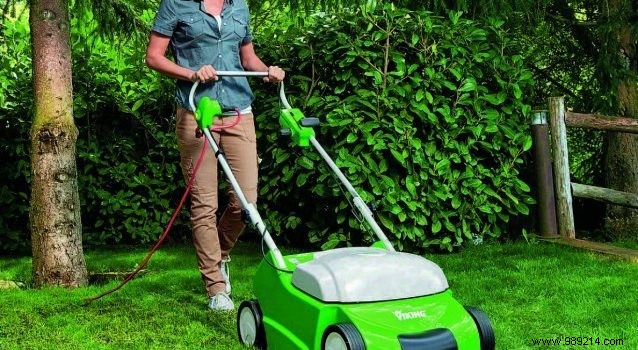 Scarifier:the essential natural asset for your garden 