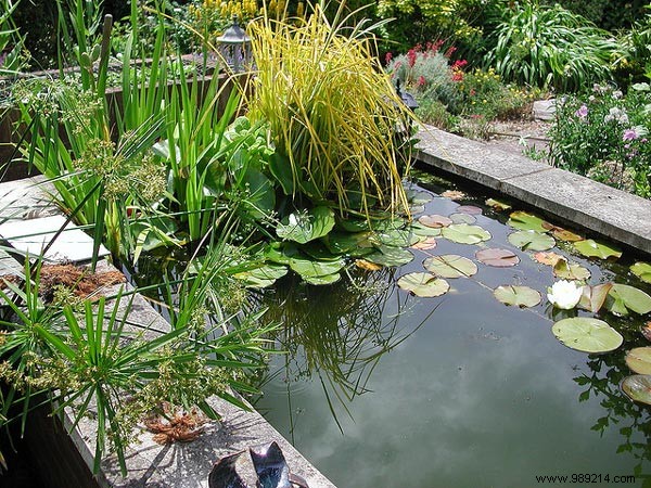 Install a harmonious pond to beautify the garden 