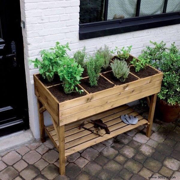 What if your balcony became a vegetable garden? 