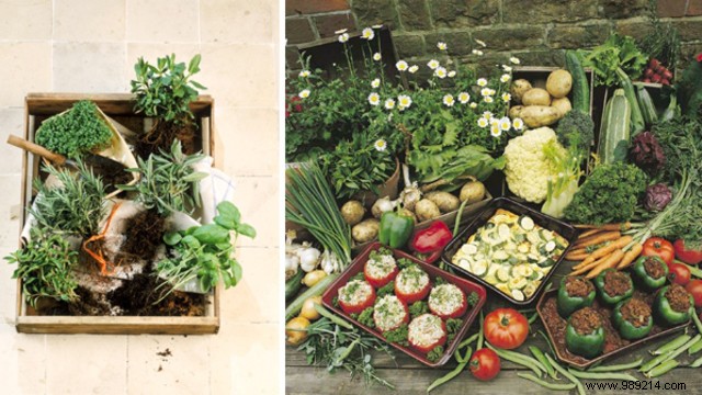 What if your balcony became a vegetable garden? 