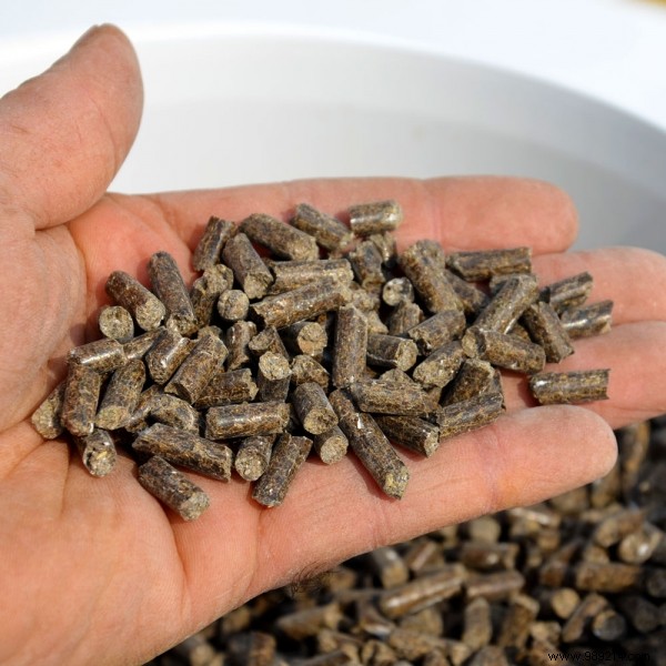 Chicken droppings:a quality fertilizer for gardening 
