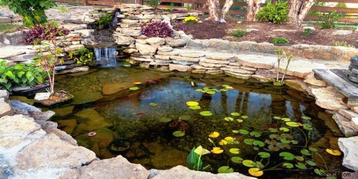 Protect your garden pond to preserve its beauty 