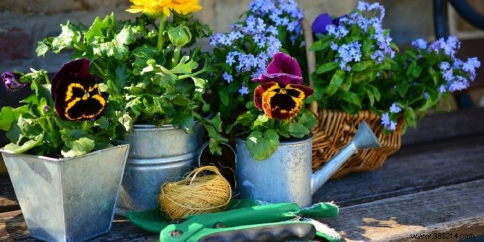 Our 3 tips for decorating your garden yourself 