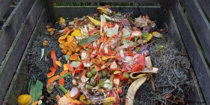 The 2 steps to make homemade compost 