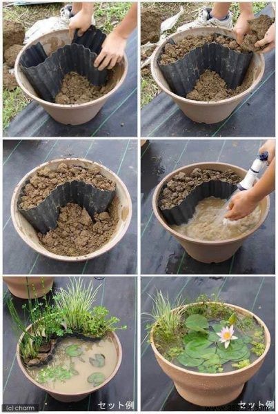 DIY:how to make your own pond 