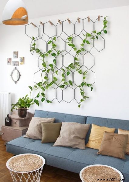 10 original ideas to decorate the house with indoor plants 