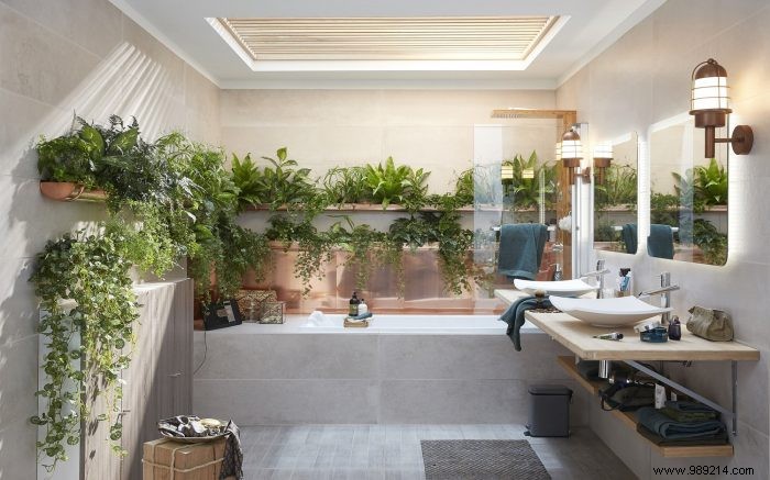 10 original ideas to decorate the house with indoor plants 