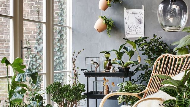 Establish conviviality by creating an indoor garden 