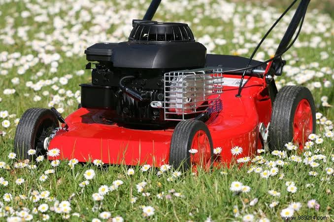 Should you buy a thermal mower or not? What brand ? 