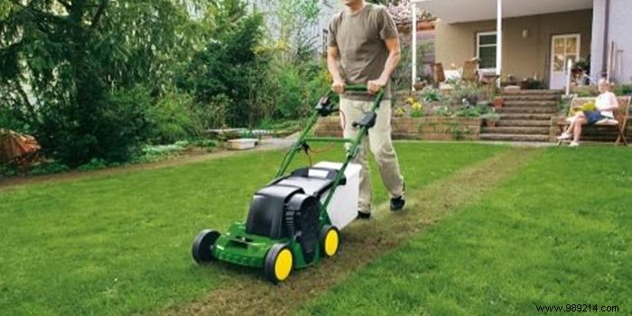 Should you buy a thermal mower or not? What brand ? 