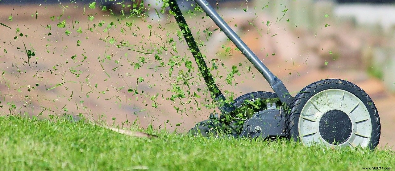 6 types of mower to maintain your lawn 