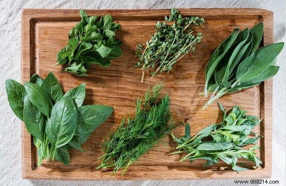 Create your own green wall of fresh herbs 