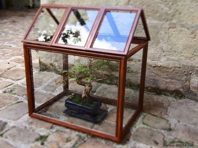 How to build a mini-greenhouse in your garden? 