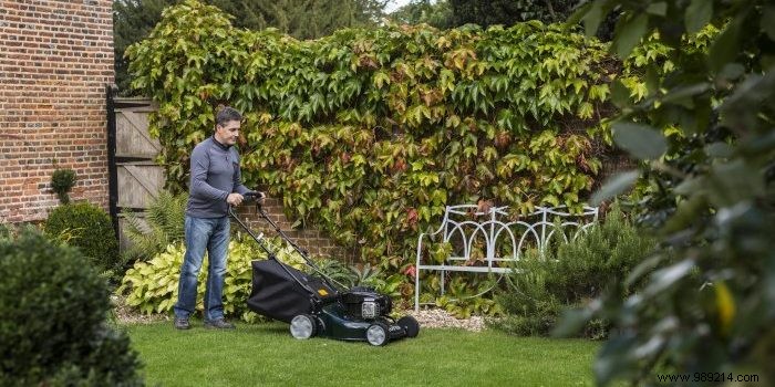 What are the different types of garden scarifier? 