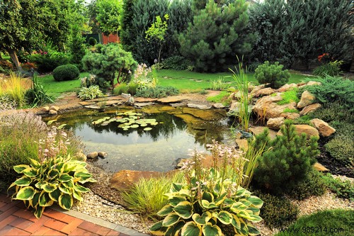 Fish pond:how to integrate it into your garden? 
