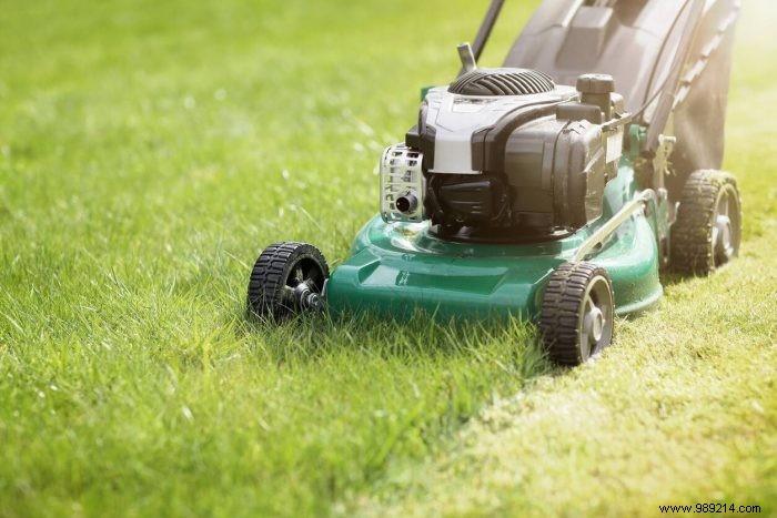 Our top tips for having a beautiful lawn 