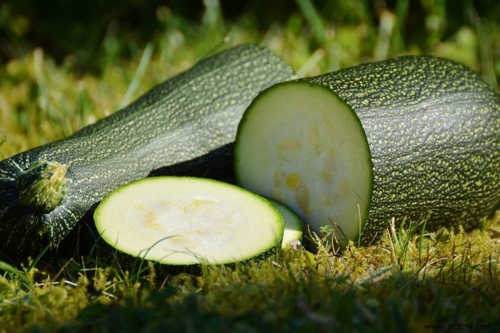 Vegetable garden:courgettes are popular! 