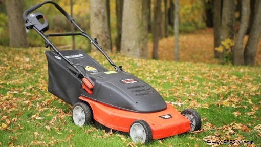 Why choose a petrol mower:advantages and disadvantages? 