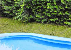 Essential accessories for an above ground pool 