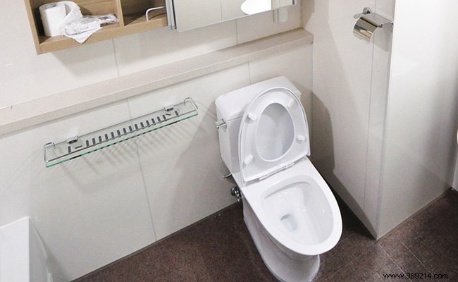 What size for a toilet? The perfect toilet! 