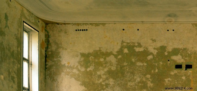 How to treat damp interior walls:tips, solutions, prices 