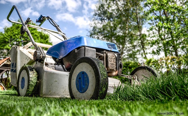 How to choose a lawn mower ? Guide, advice, models and prices! 