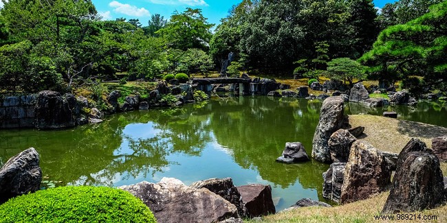 The Japanese garden:a good idea to do at home! 