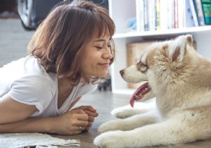 3 diseases that dogs can transmit to humans 