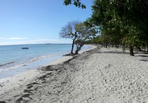 Martinique vs. Guadeloupe: Which French West Indies Island Suits Your Caribbean Vacation?