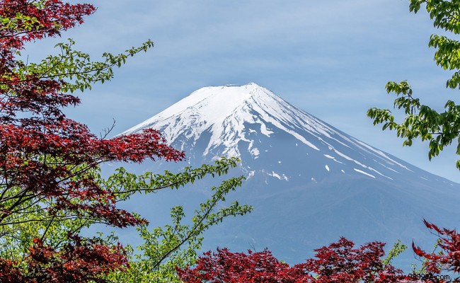 Travel to Japan:the 10 must-see places to visit 