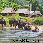 Travel differently thanks to ecotourism in Thailand 