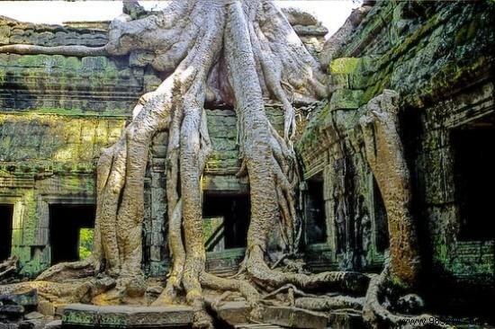 The most beautiful sites and attractions in Cambodia 