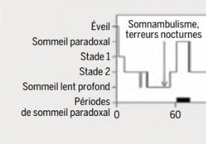 Why do children have more nightmares than adults? 