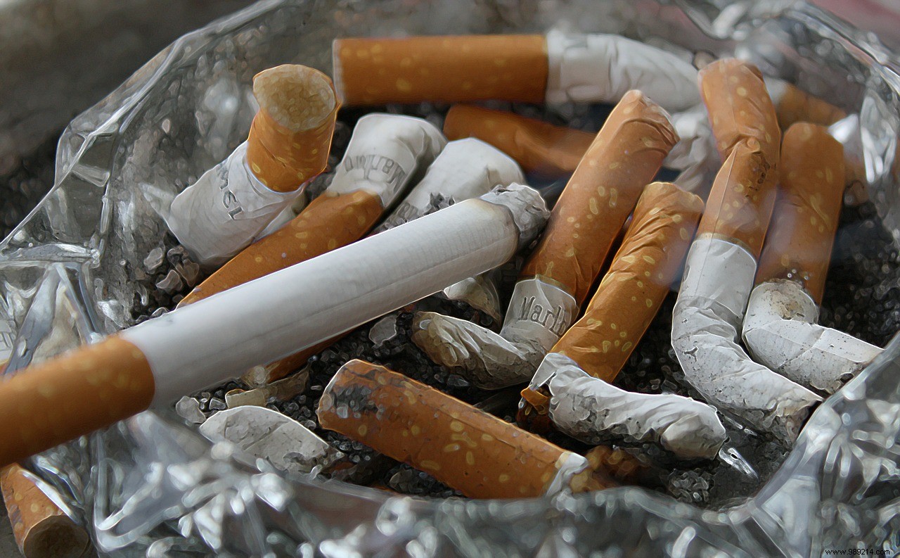 Researchers call for a ban on filter cigarettes 