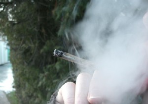 Long-Term Daily Cannabis Smoking Linked to 36% Higher Testicular Cancer Risk, Study Shows