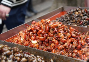 China s Mysterious Pneumonia Outbreak: First Death, Thailand Case, and Emerging Facts