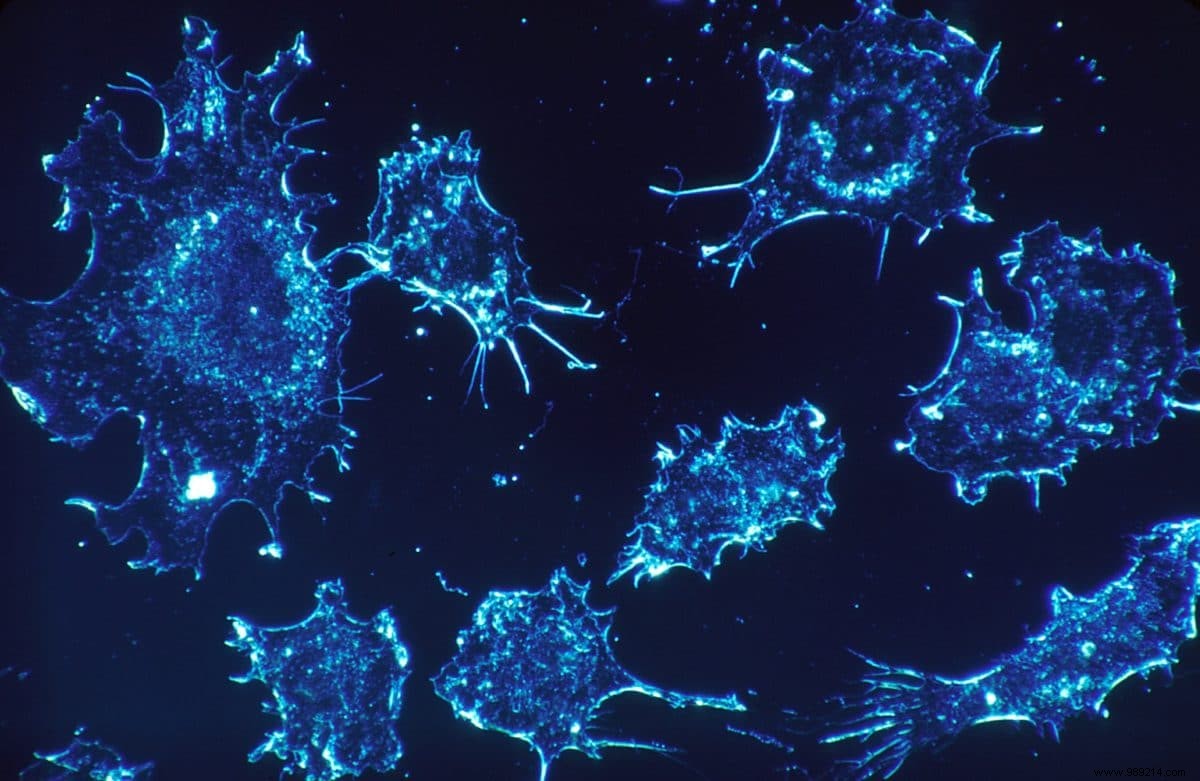 Cancer:an unprecedented genetic breakthrough! 