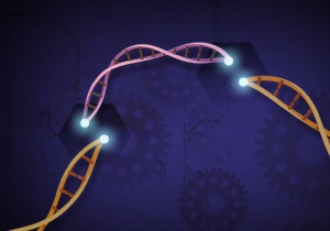First CRISPR Gene Therapy Patient Dosed in Landmark Trial to Restore Vision