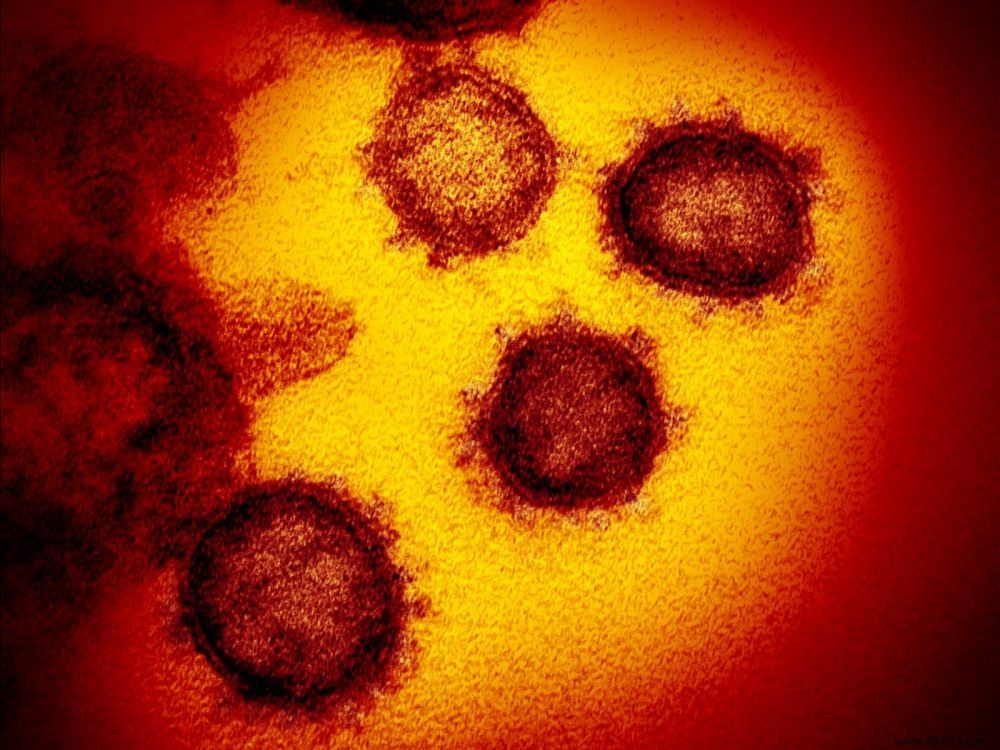 Coronavirus:a vaccine tested for the first time in humans 