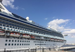CDC Reveals SARS-CoV-2 RNA Lingered on Diamond Princess Cruise Ship for 17 Days After Infected Passengers Departed