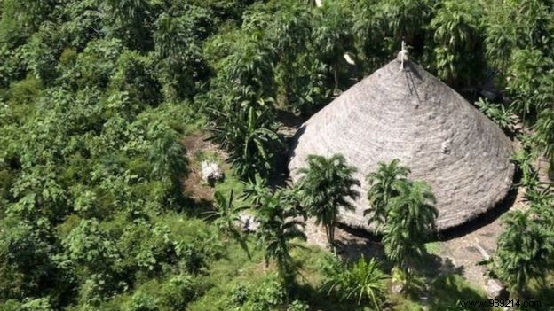 Brazil confirms first case of COVID-19 among indigenous peoples 