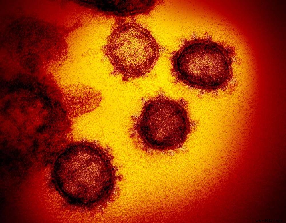Many Americans are poisoning themselves trying to kill the coronavirus 