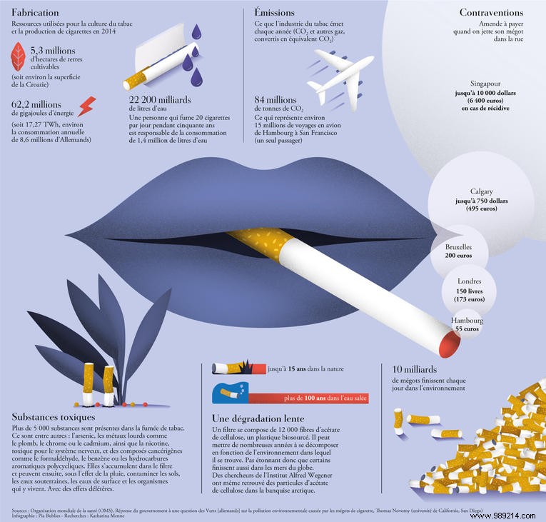 Infographic:the impact of the tobacco industry on the environment 