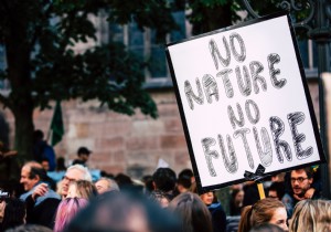 Taxing junk food to encourage healthier eating? 