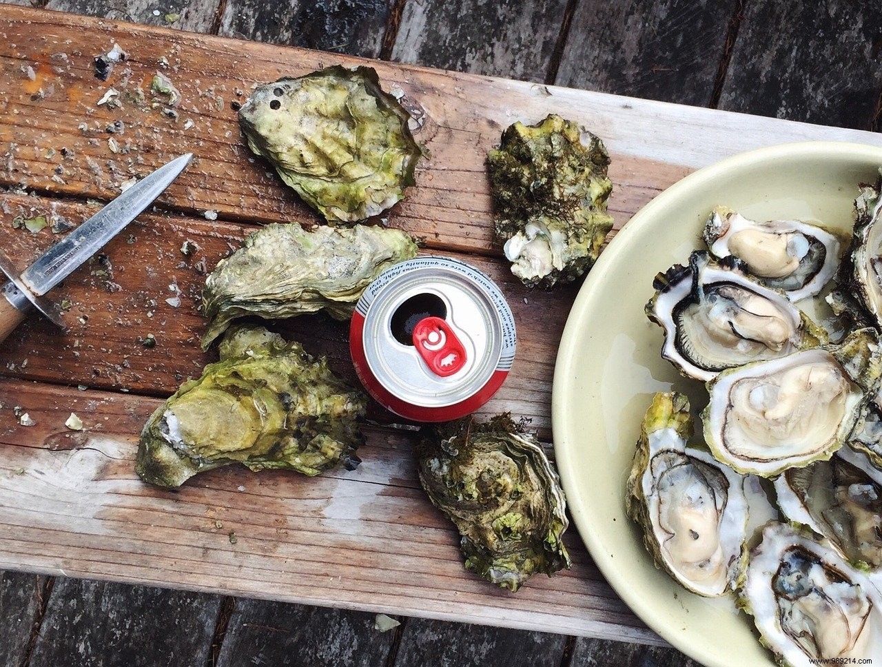 Some oysters contain plastic, kerosene and even infant formula 
