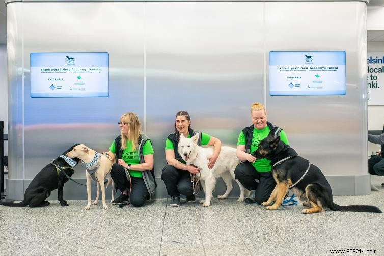 At Helsinki airport, dogs are deployed to detect Covid-19 