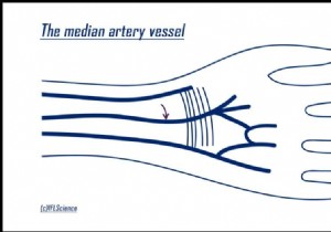 One more proof that man is not done with evolution 
