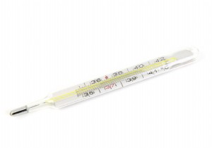 Why Has Human Body Temperature Declined Over Time? Evidence from U.S. and Tsimane Studies